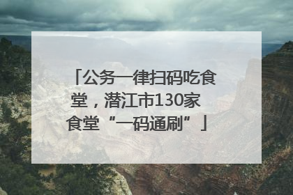 公务一律扫码吃食堂，潜江市130家食堂“一码通刷”